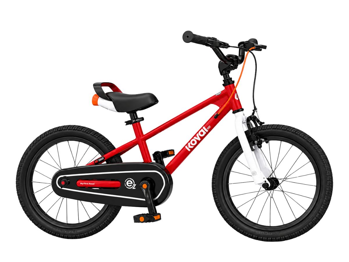 Royalbaby 18 EZ FreeStyle Bicycle
