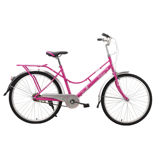 Cycle for girls 15 years sales