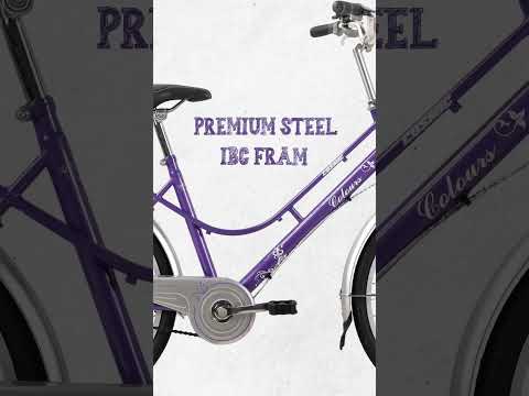 Cosmic 24 Colors Bicycle Grey/Purple