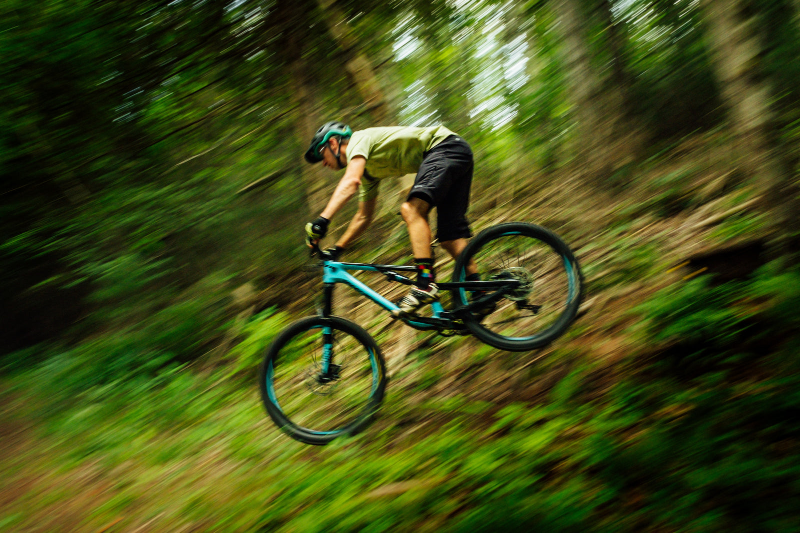 MTB Cycle & Non gear cycle restore